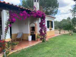 The S House - Santo Estêvão